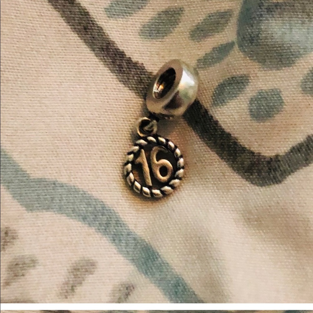 Bundle 16 Pandora Charm the other 2 I’m not sure if they are Pandora